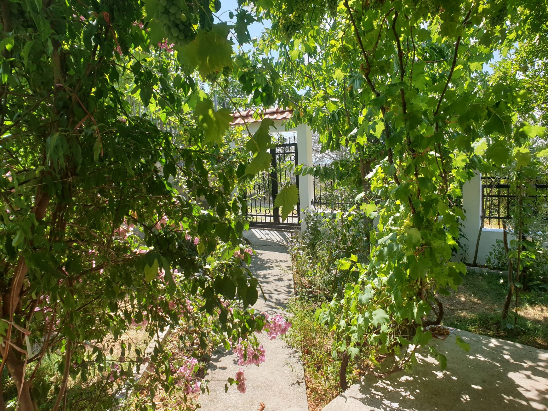 The Sea view house in Sutomore — Montenegro