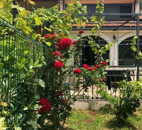 The townhouse for sale in Petrovac