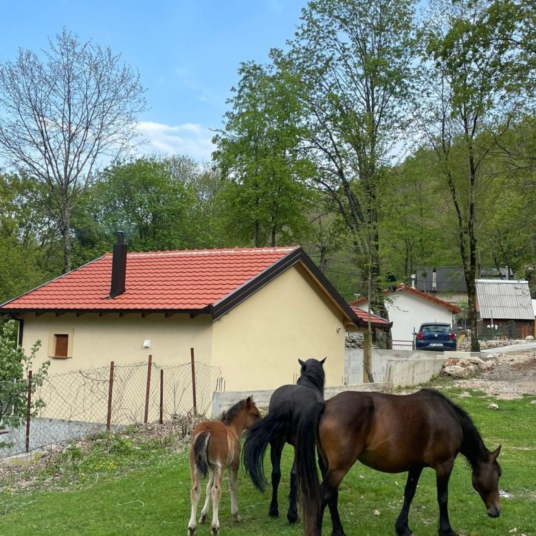 Charming House in Serene Vrsuta — Bar