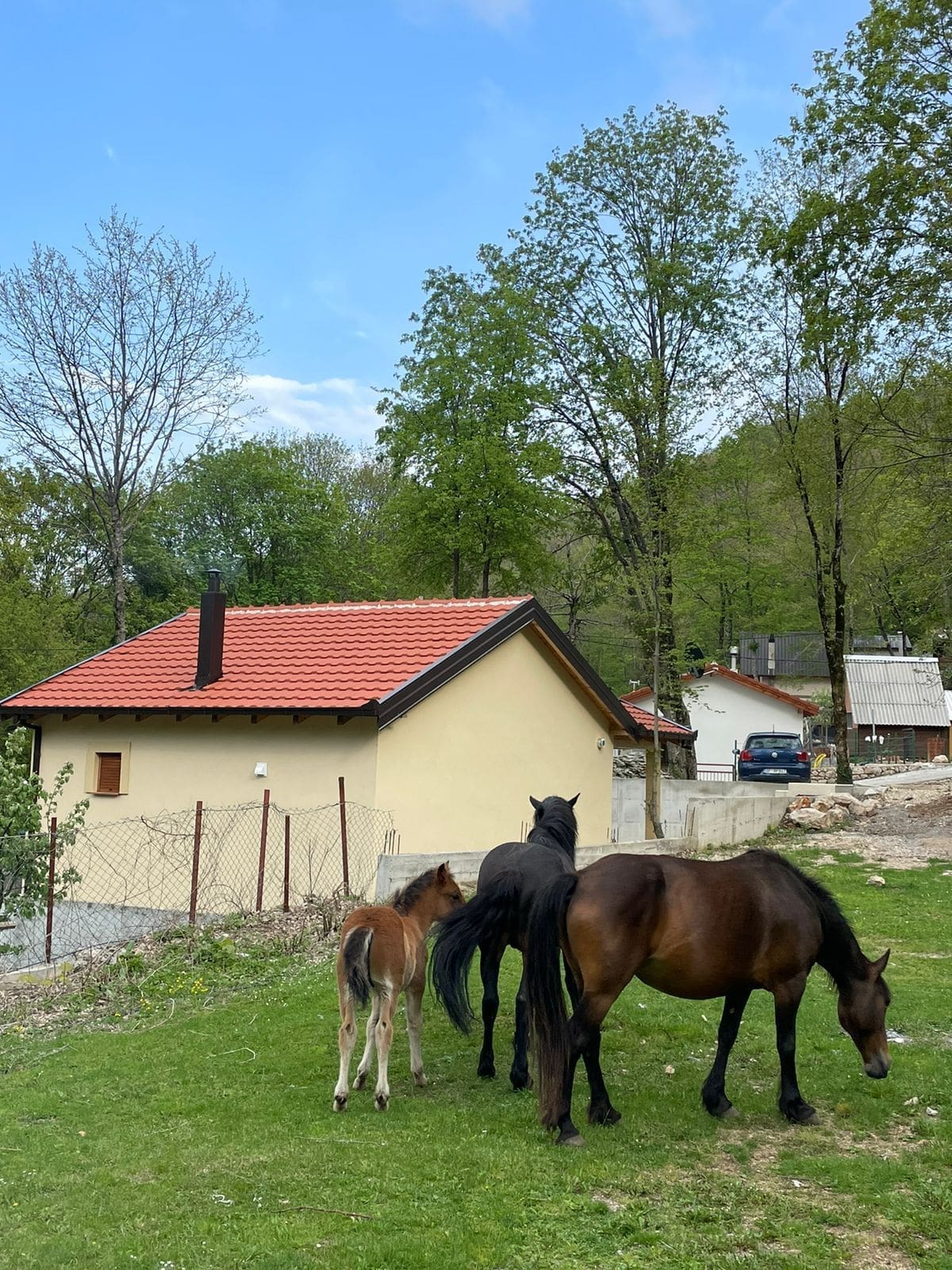 Charming House in Serene Vrsuta — Bar