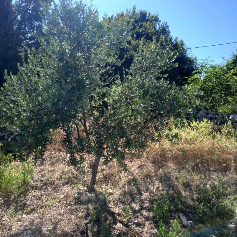 House for Sale in Virpazar-Bar Municipality — Bar