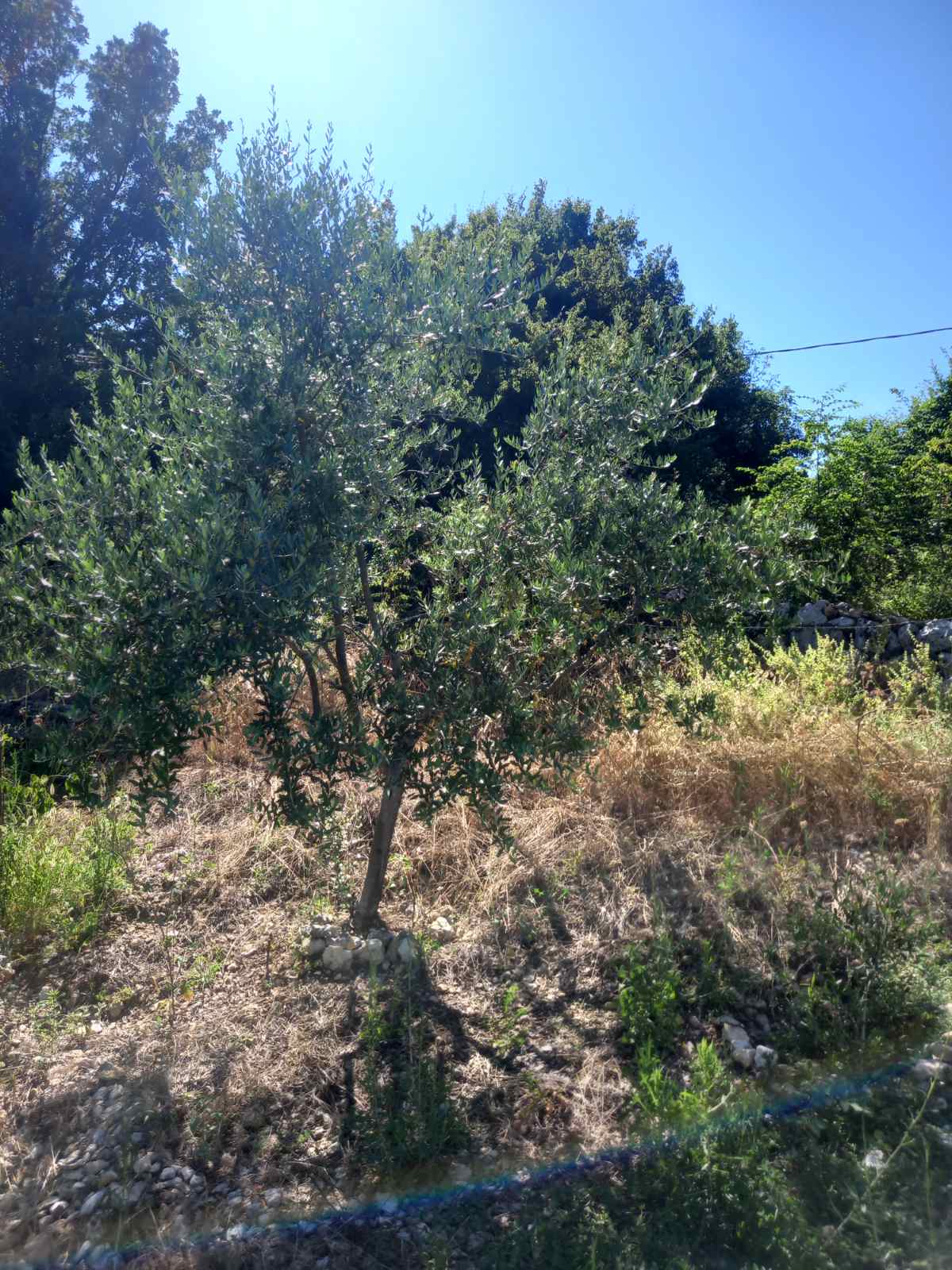 House for Sale in Virpazar-Bar Municipality — Bar