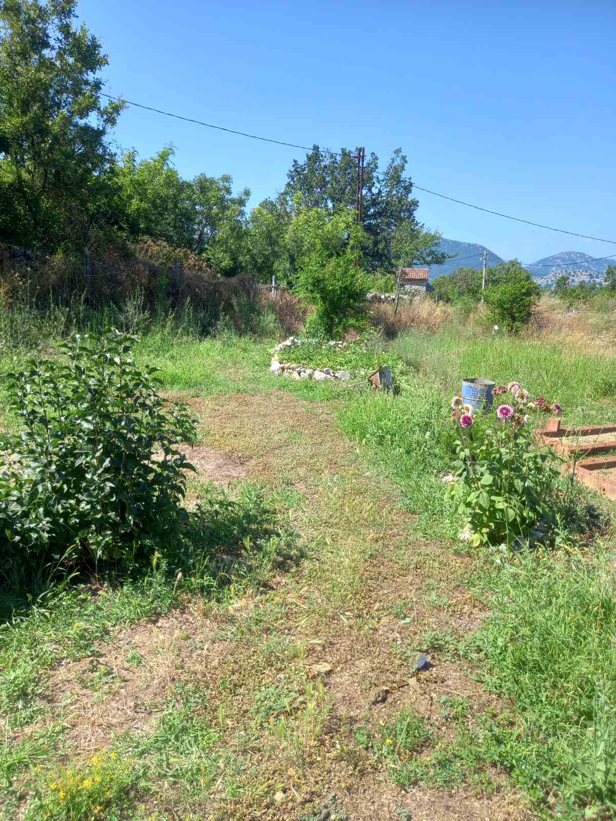 House for Sale in Virpazar-Bar Municipality — Bar