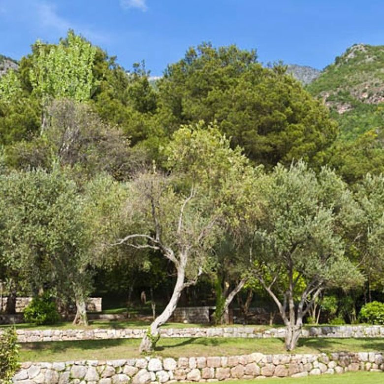 Penthouse mit herrlichem Meerblick in Becici — Montenegro