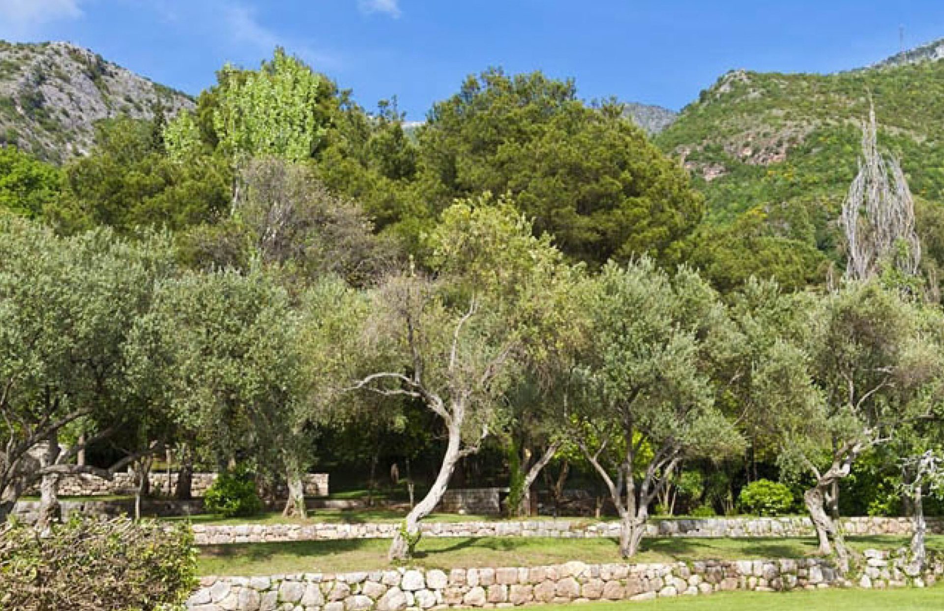 Penthouse mit herrlichem Meerblick in Becici — Montenegro