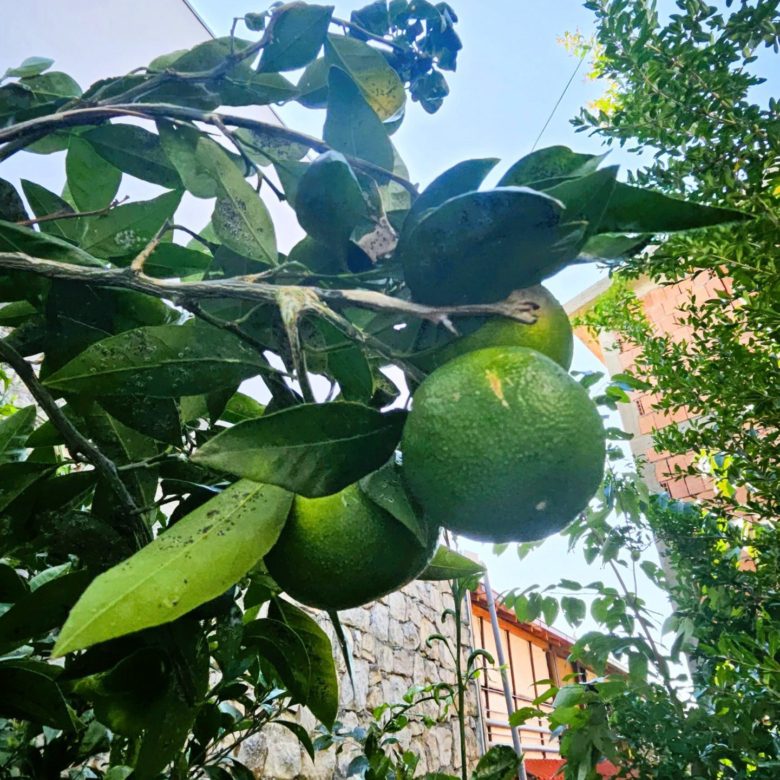 Доступний будинок на продаж в Утьєсі – Бар