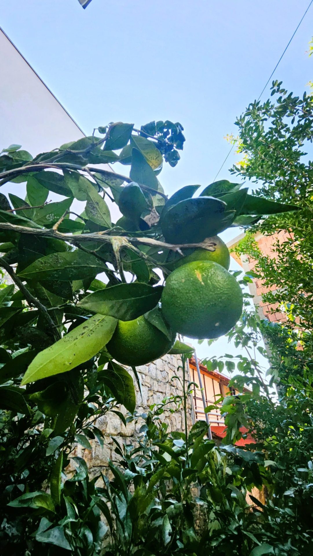 Доступний будинок на продаж в Утьєсі – Бар