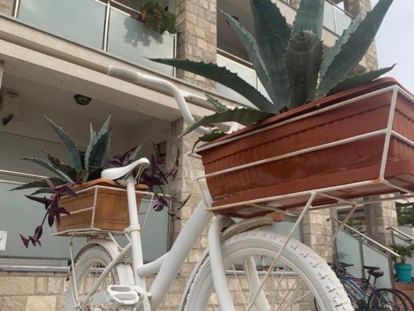 Opportunity to purchase a profitable hotel in Becici
