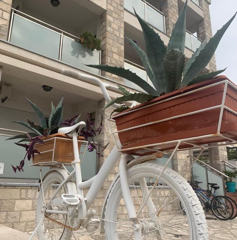 Opportunity to purchase a profitable hotel in Becici