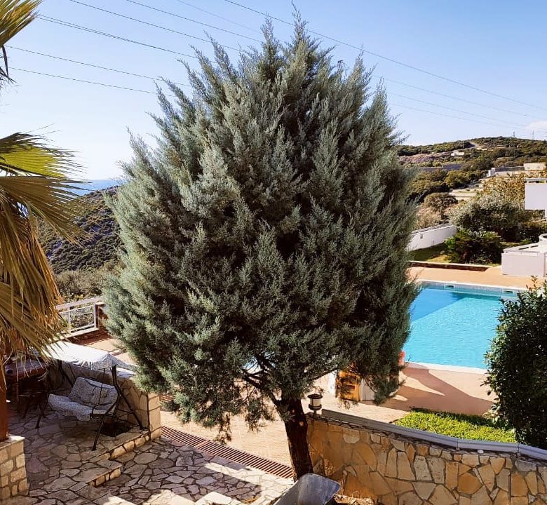 Luxury Apartment for Sale in Dobra Voda — Montenegro