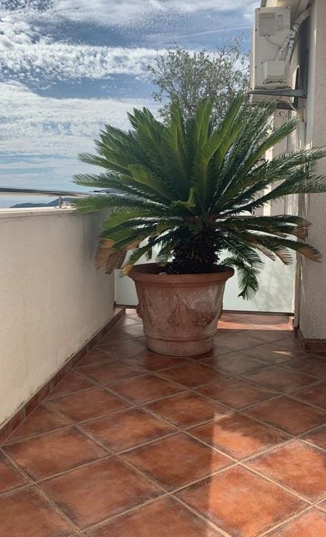 Opportunity to purchase a profitable hotel in Becici — Montenegro