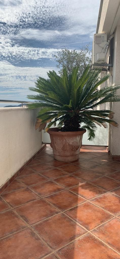 Opportunity to purchase a profitable hotel in Becici — Montenegro