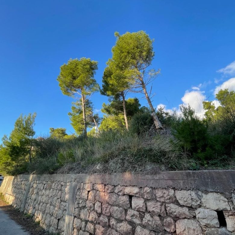 Montenegro Land For Sale — Montenegro