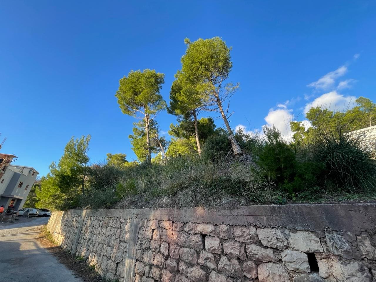 Montenegro Land For Sale — Montenegro