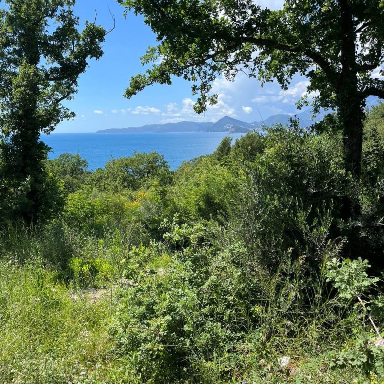 Prime Land Plot for Sale in Rezevici — Montenegro