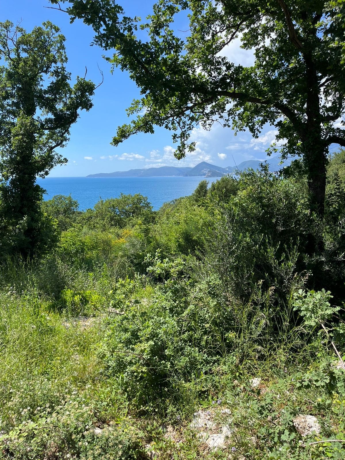 Prime Land Plot for Sale in Rezevici — Montenegro