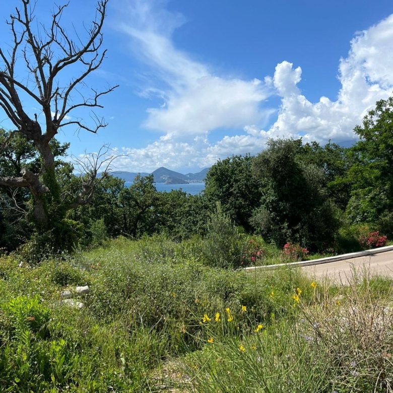 Prime Land Plot for Sale in Rezevici — Montenegro