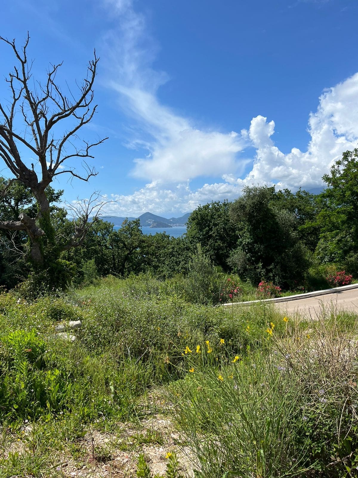 Prime Land Plot for Sale in Rezevici — Montenegro