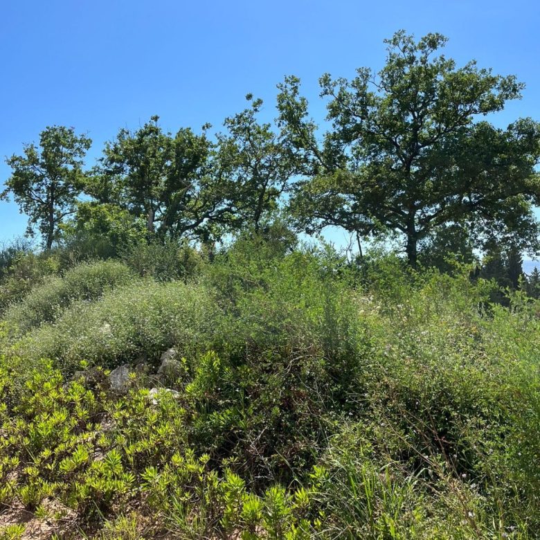 Prime Land Plot for Sale in Rezevici — Montenegro
