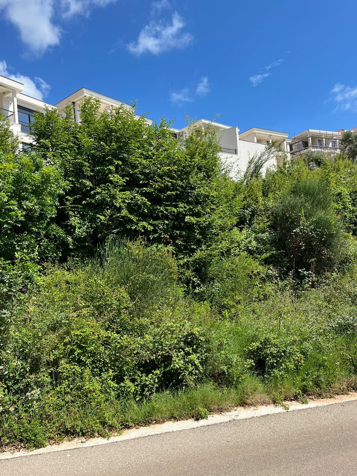 Prime Land Plot for Sale in Rezevici — Montenegro