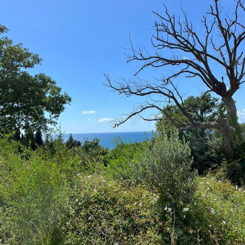 Prime Land Plot for Sale in Rezevici — Montenegro