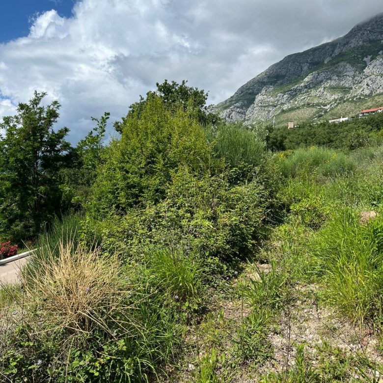 Prime Land Plot for Sale in Rezevici — Montenegro