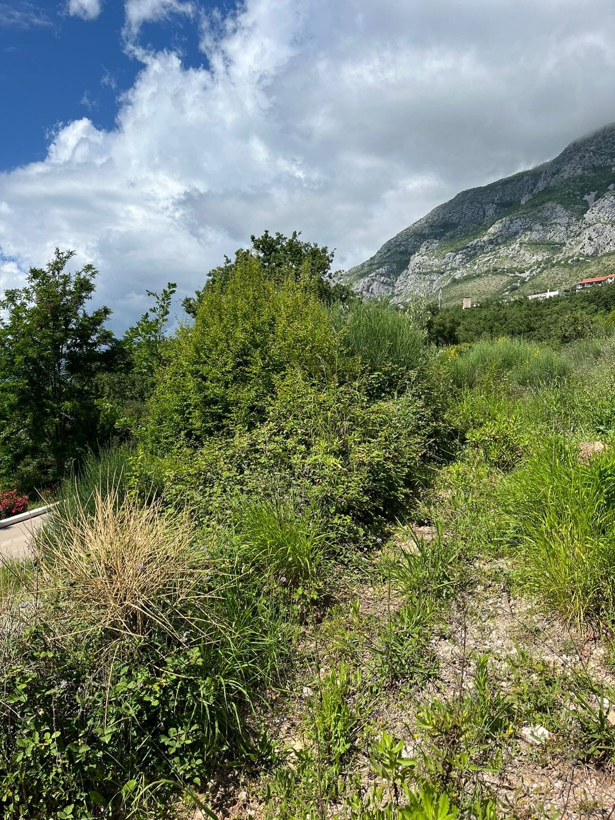 Prime Land Plot for Sale in Rezevici — Montenegro