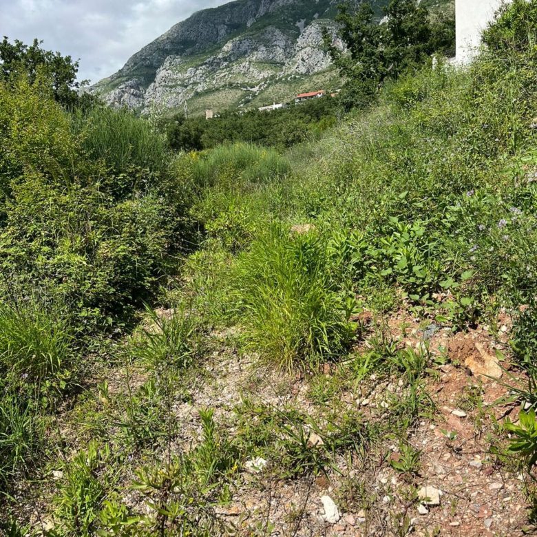 Prime Land Plot for Sale in Rezevici — Montenegro
