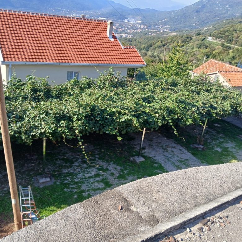Spacious 8-Apartment House with Building Permit — Montenegro