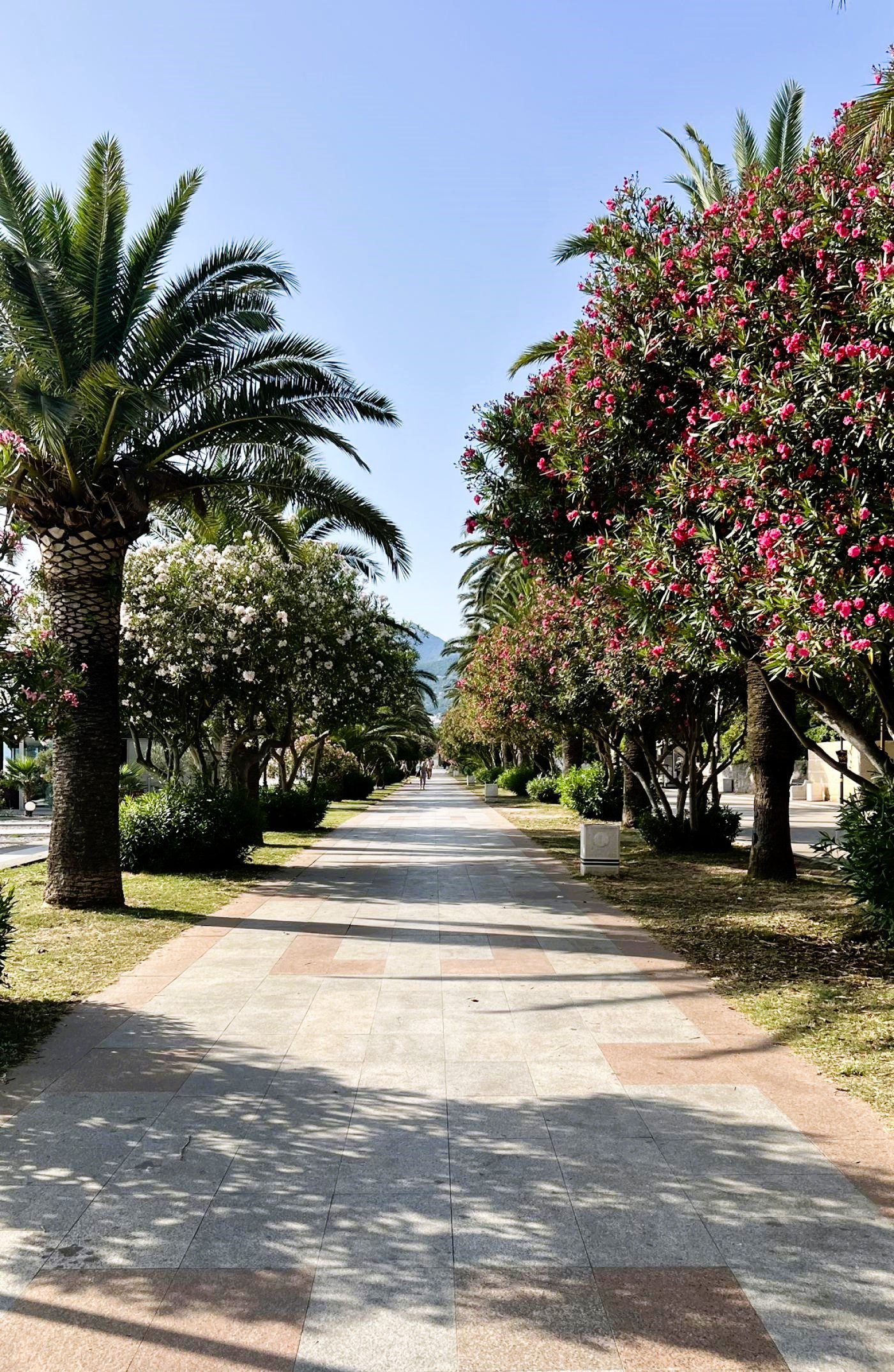 Spacious 2-Room Apartment for Sale in Soho City — Montenegro