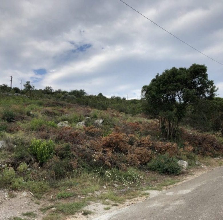Luxury Apartments Overlooking the Bay of Kotor — Montenegro