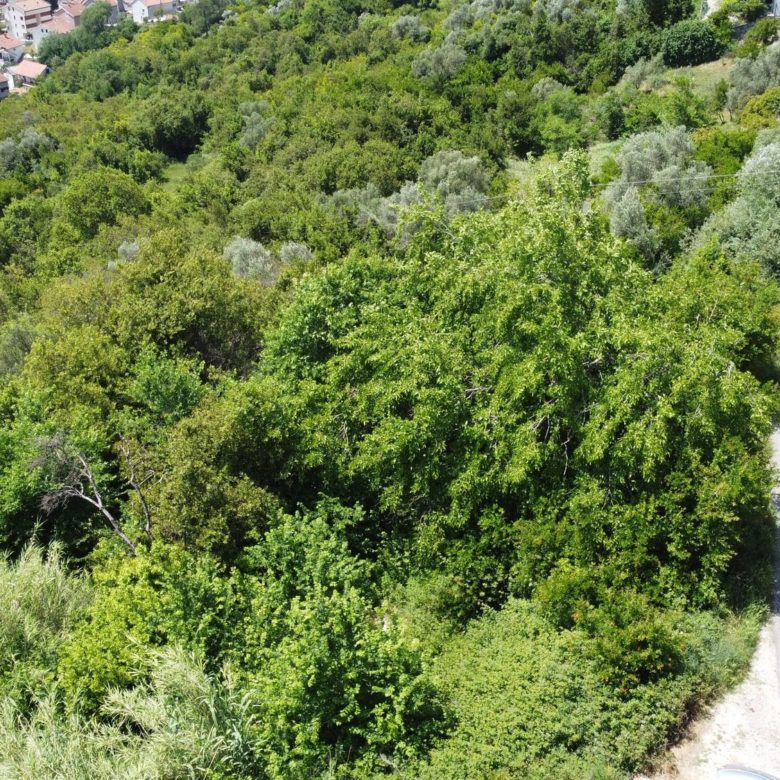 Prime Land for Sale in Tivat — Montenegro