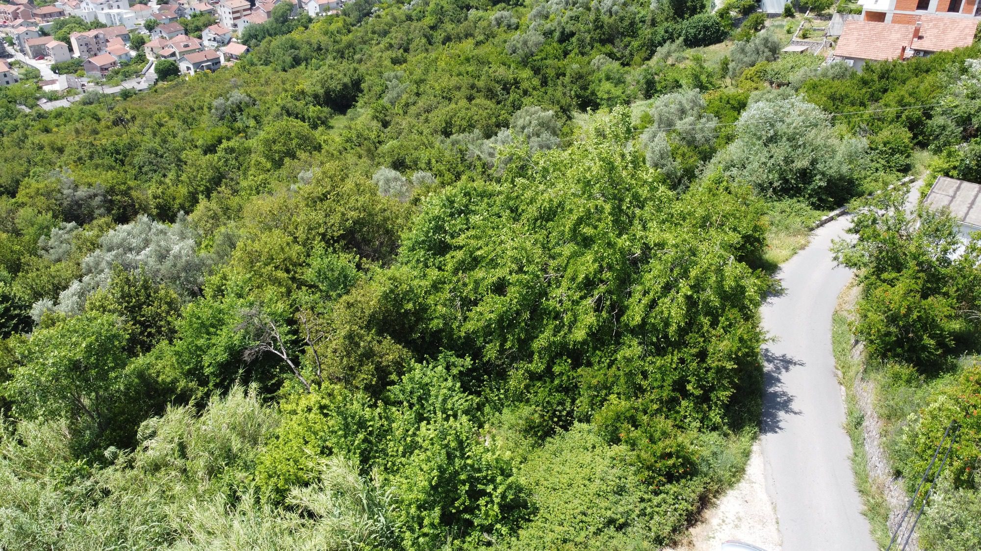 Prime Land for Sale in Tivat — Montenegro