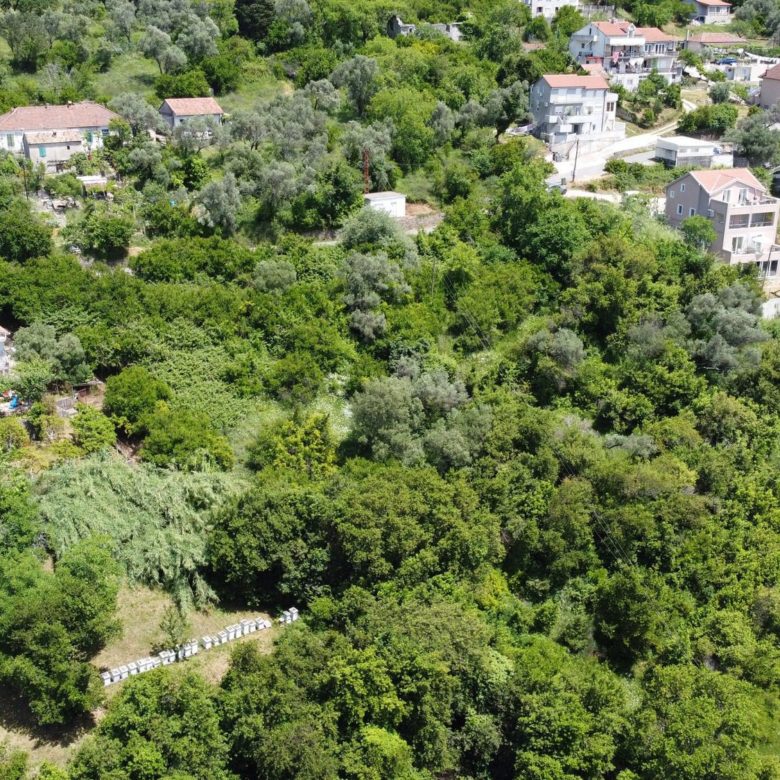 Prime Land for Sale in Tivat — Montenegro