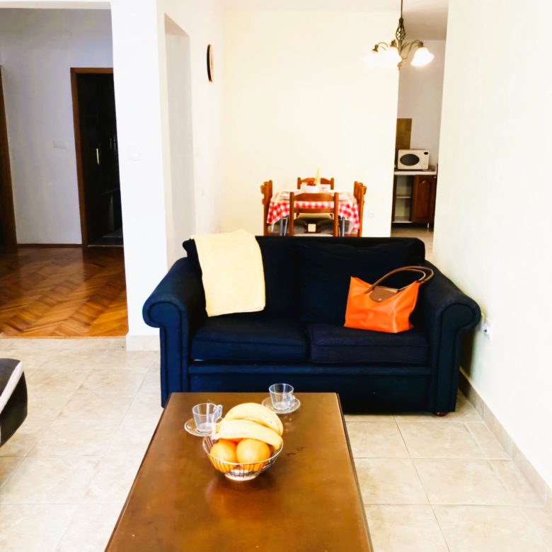Villa-Mini Hotel for Sale in Budva