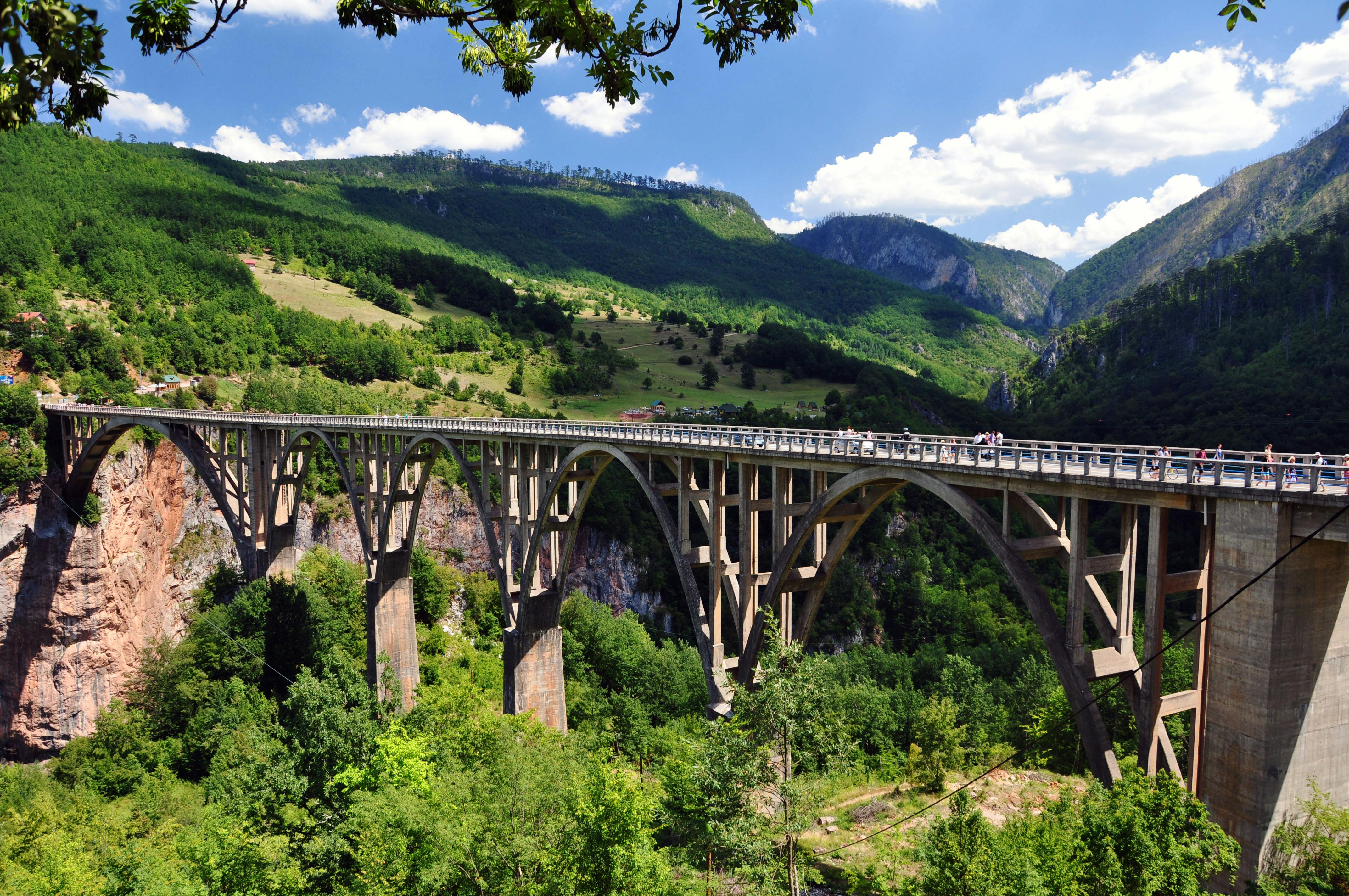 Tara Bridge
