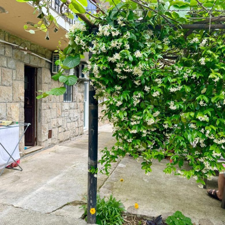 Studio Apartment for Sale in Budva – Prime Location Near Old Town — Montenegro