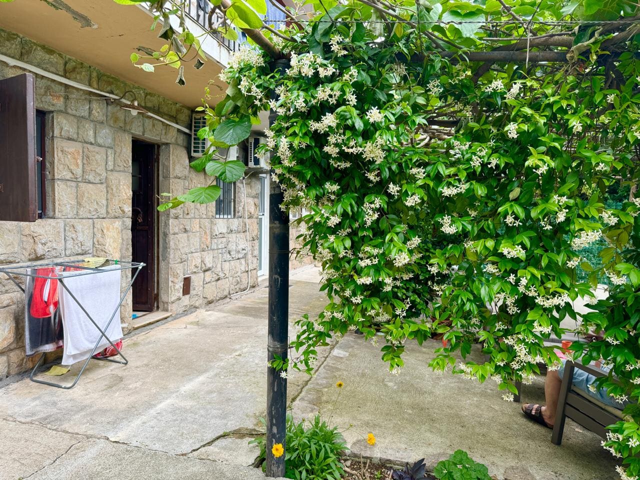 Studio Apartment for Sale in Budva – Prime Location Near Old Town — Montenegro