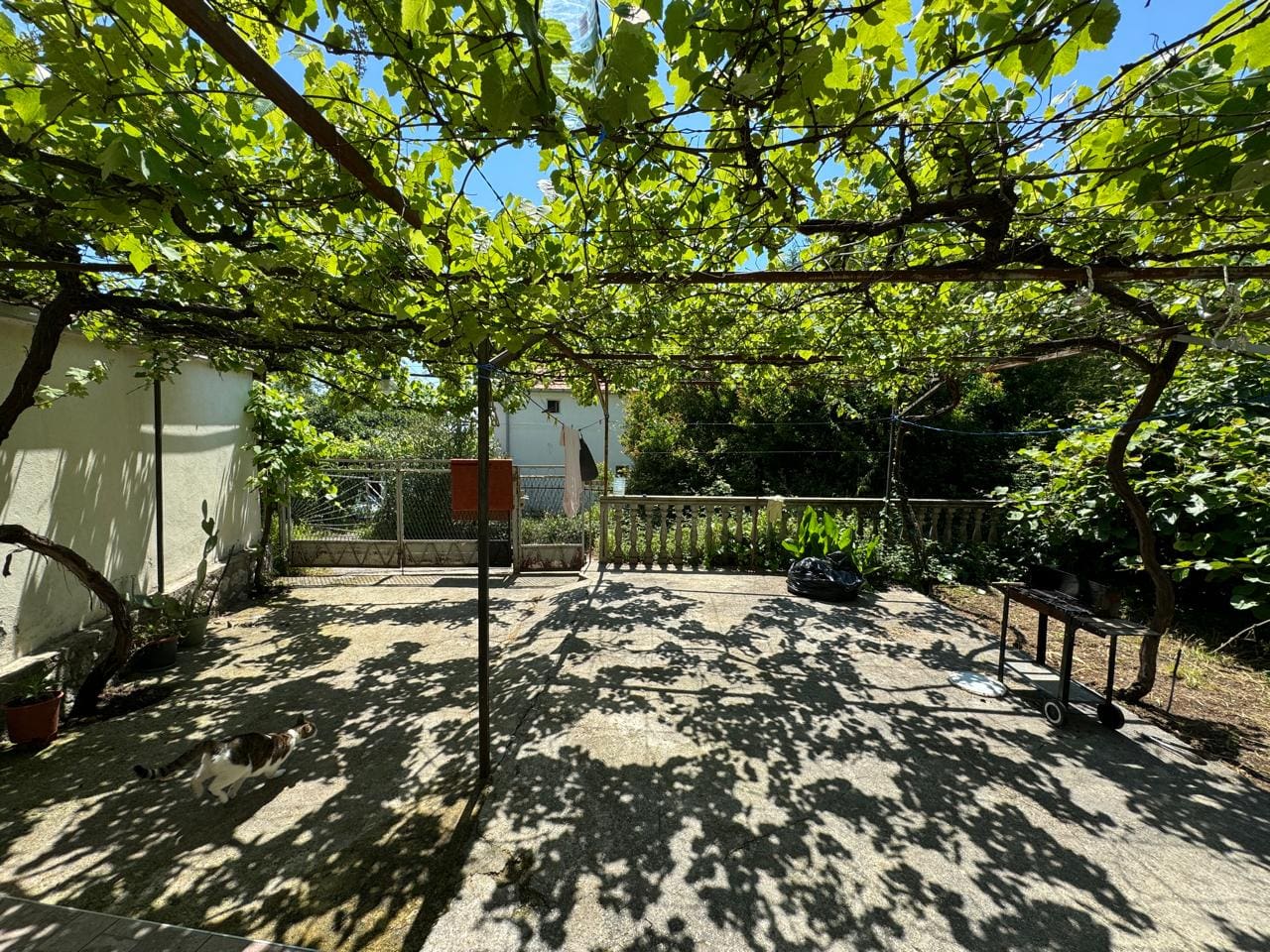 House for Sale in Budva – 7 Bedrooms, Sea View, Peaceful Location — Montenegro
