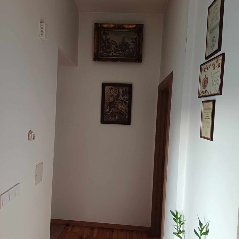 Elite Stone House for Sale near Danilovgrad – Cultural Gem with Gardens and Security System — Montenegro