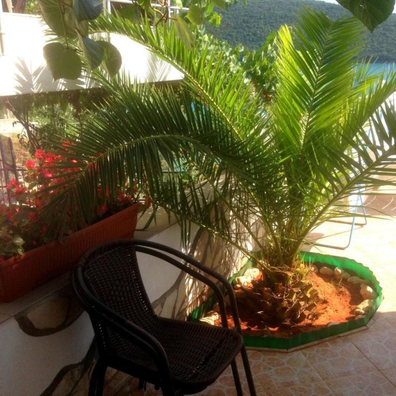 Charming 3-Bedroom Villa for Sale in Ulcinj - Kruce with Pool & Sea View — Montenegro