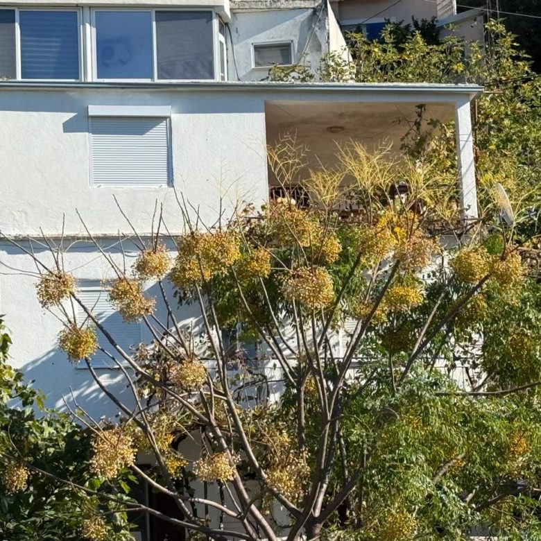 Sutomore House Portion – 108 m², Separate Entrance, 350 m to the Sea — Montenegro