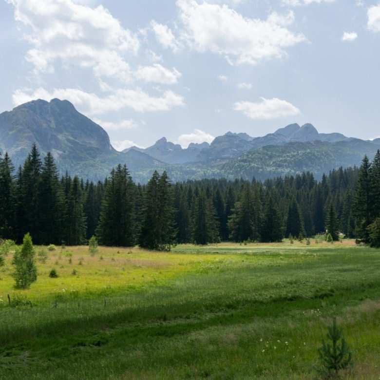 Mountain Resort Development in Žabljak – 45,122 m² Prime Asset — Montenegro