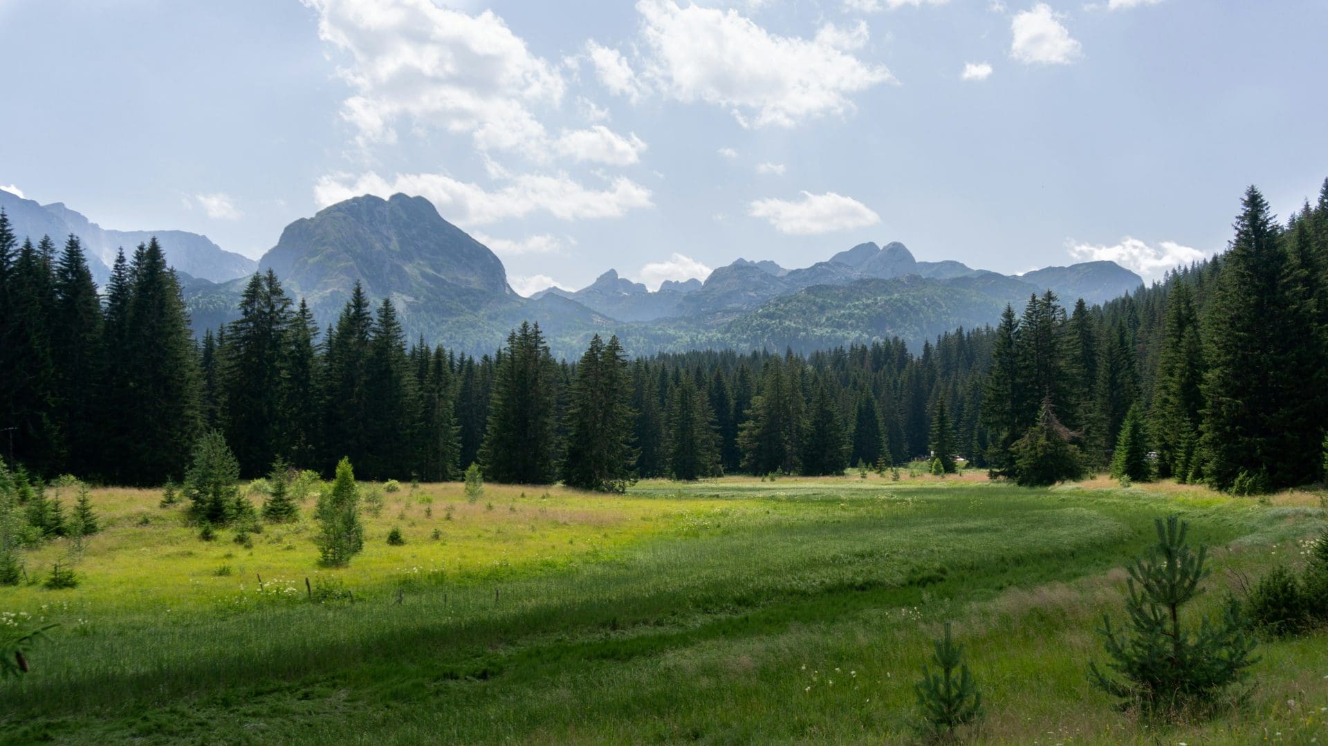 Mountain Resort Development in Žabljak – 45,122 m² Prime Asset — Montenegro