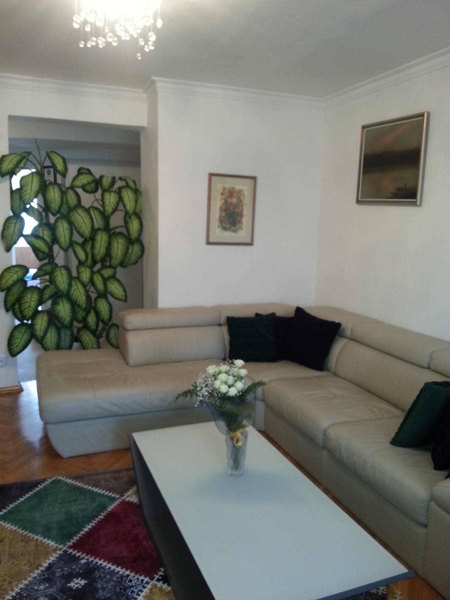 Apartment for Sale in Budva – 3-Bedroom Smart Choice — Montenegro