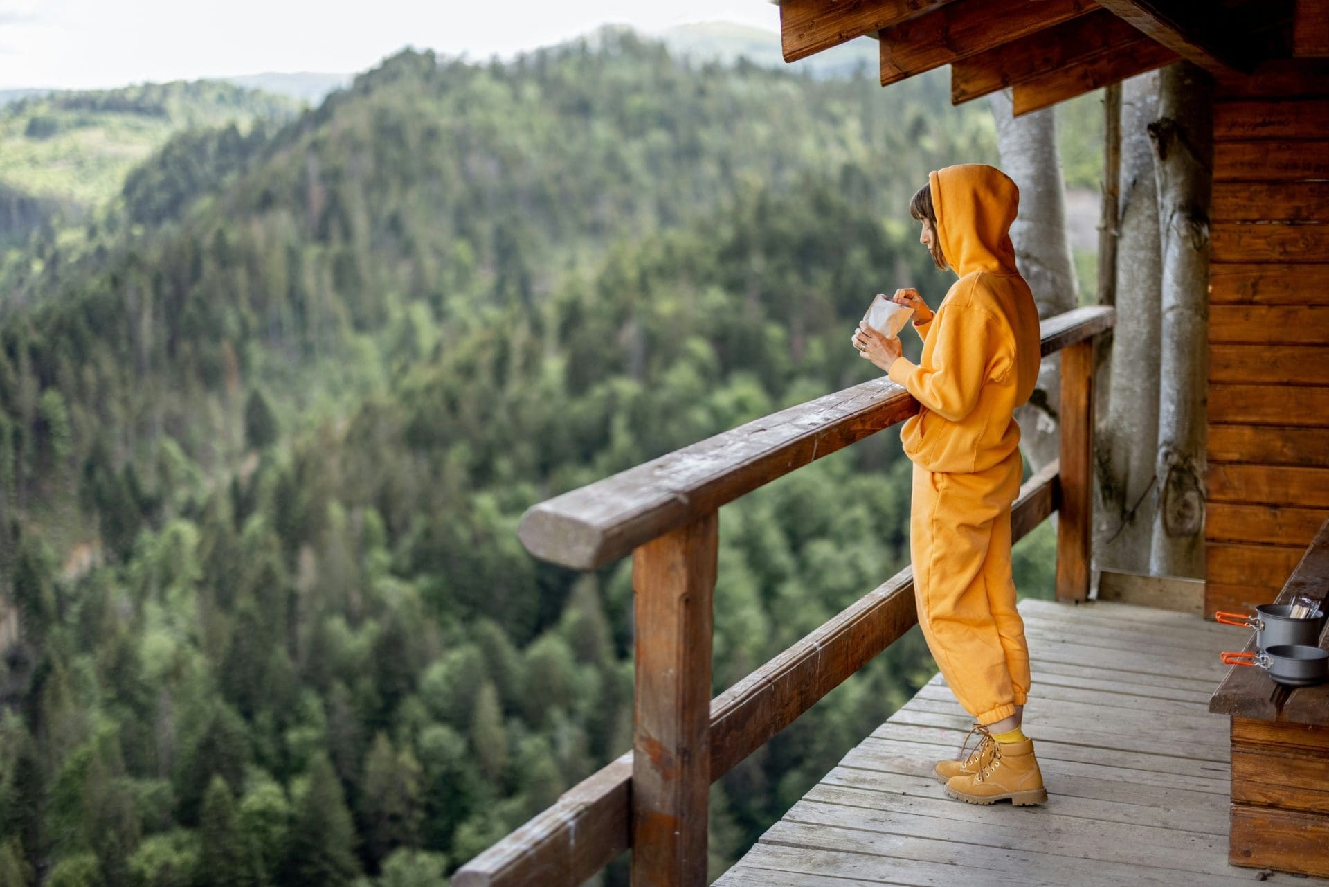 Mountain Resort Development in Žabljak – 45,122 m² Prime Asset — Montenegro