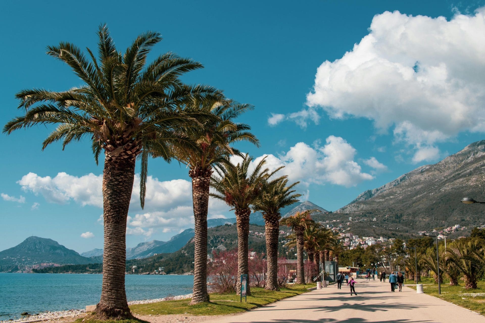 Promenade in Bar , walking zone with palm trees