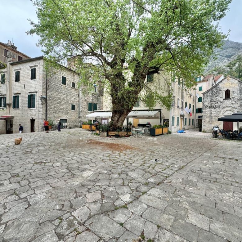 Apartment in Kotor Old Town – 2BR Historic Gem 73m², Montenegro