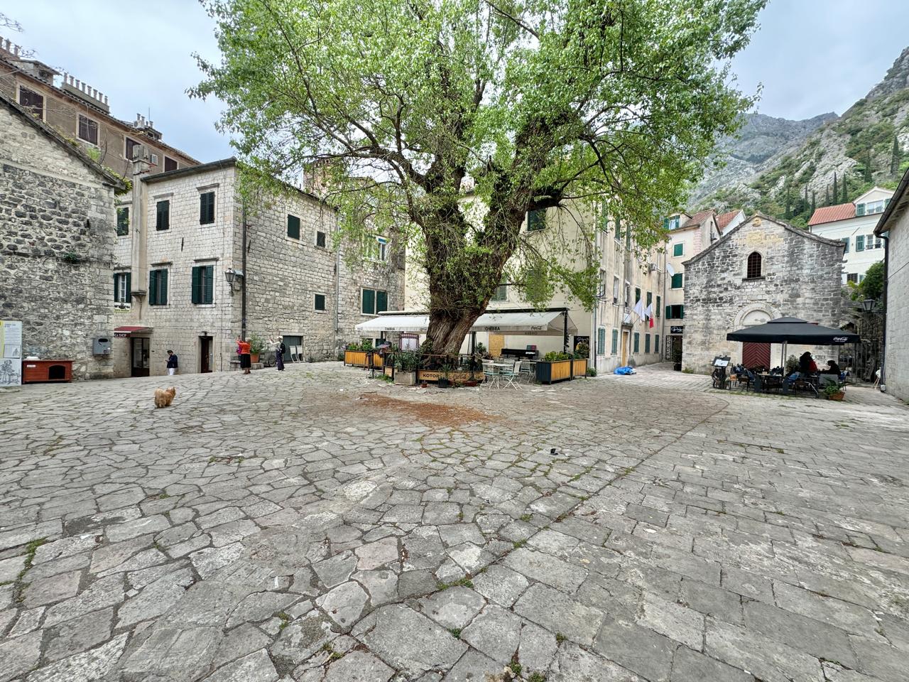 Apartment in Kotor Old Town – 2BR Historic Gem 73m², Montenegro